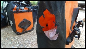 Assassins !! 'savez pas combien ça coute ?!