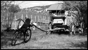 Marre des sacoches, j'prends la carriole. Z'auront du mal à bouffer ça les écureuils