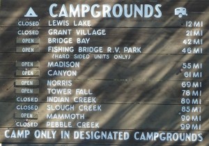 beaucoup de campings sont encore fermés à cause des ours