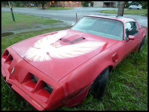 6,6 L de cylindrée laissés à l'abandon !!