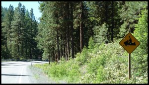 on risque de pas en voir beaucoup aujourd'hui