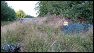 la tête d'Ophélie en dit long