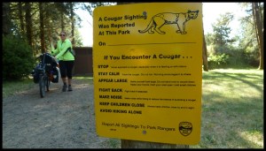 En cas de rencontre avec un puma