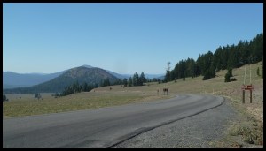 à partir de là, c'est plus de 85 Km de descente