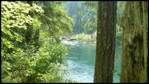 Susan Creek : des indiens venaient déjà ici il y a 7700 ans.