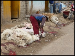 Ils nous cracheront plus dessus ceux_là