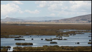 Titicaca