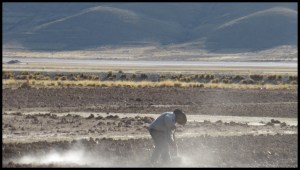 très peu de tracteur ici