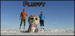 on vous a présenté Fluffy ? Il nous accompagne depuis le début