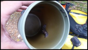 ça change du thé ou du café et c'est plein de protéines