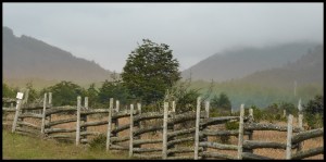 un arc-en-ciel à 100m,  au ras du sol. Le bon côté de la pluie