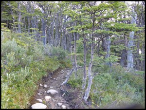 Yeeeehaaaa ! C'est parti !!