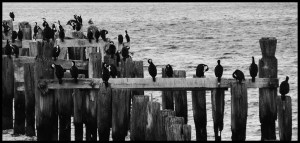 Puerto Natales, on y est bien